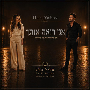 אני רואה אותך by אילן יעקב