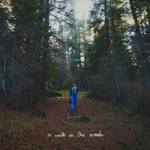 A Walk In The Woods by BANDANA CHEYENNA