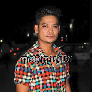 គ្មានអ្វីត្រូវស្តាយ - ព្រាប សុវត្ថិ by The Midnight Memory
