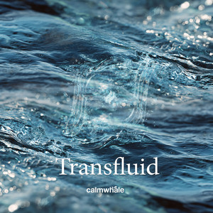 Transfluid by Calm Whale