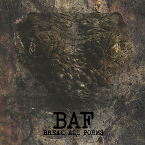 N.M.E.I.N. by BAF *Break All Forms*