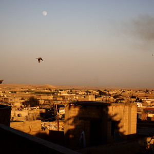 Hides - The Age of Asia Classic