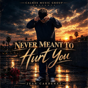 Never Meant to Hurt You by Juan Cardenas