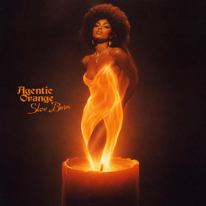 Slow Burn by Agentic Orange