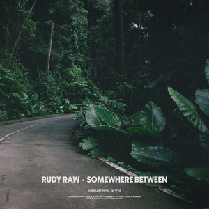 Somewhere Between by Rudy Raw