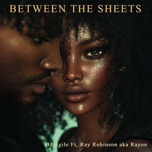 Between The Sheets (feat. Ray Robinson) by DJ Agile, Ray Robinson