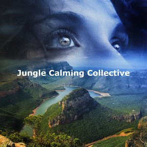 Jungle Calming Collective