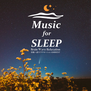 Relaxation Ambient for SLEEP
