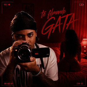 Te Filmando Gata by Lionel, Slaasty, Thurts