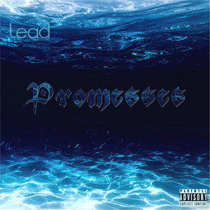 Portada de Promesses