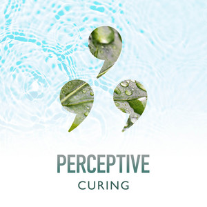 zZz Perceptive Curing Rain Melodies zZz album