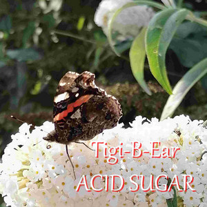 Acid Sugar by Tigi-B-Ear