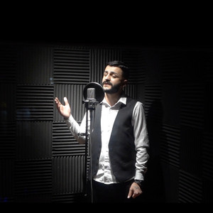 mirza artmeladze - Mikvarkhar