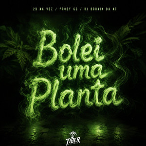 BOLEI UMA PLANTA