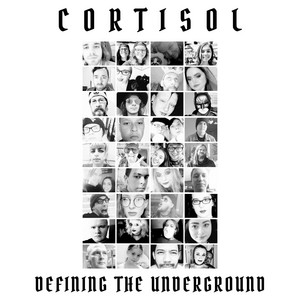 Cortisol poster