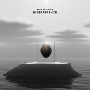 Roie Shpigler - Interference