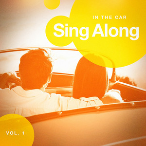 Sing Along in the Car, Vol. 2 album