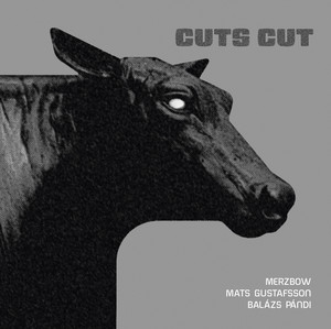 New Takamagahara - Album by Merzbow | Spotify