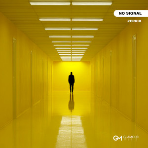 No Signal by Zerrid