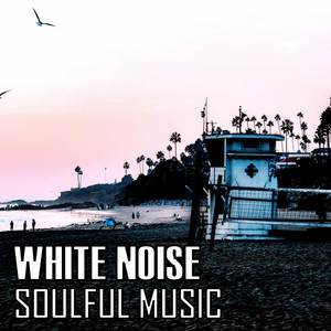 White Noise: Soulful Music album