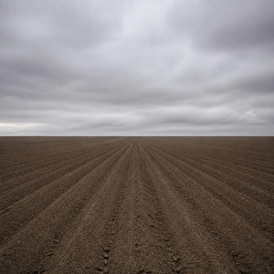 Fallow by Rieve