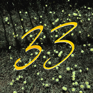 33 by DEAD VELVET