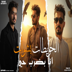 الحويطات بشوات - انا بضرب حي by رجب استريو