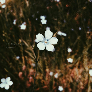 In Your Eyes by Escorsa