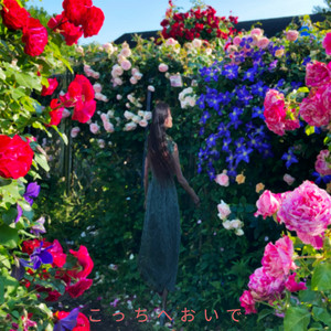 Come here (feat. Jelly Hyodo) by Ryo, Saki, fengyi, qingsu, Kevin, Jelly Hyodo