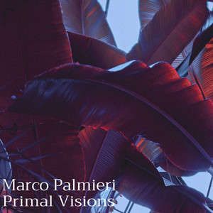 Primal Visions by Marco Palmieri