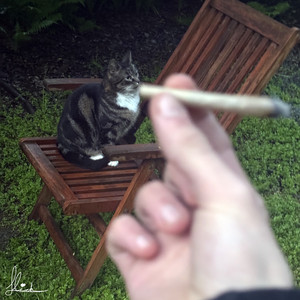 5pillsdeepp by Flick