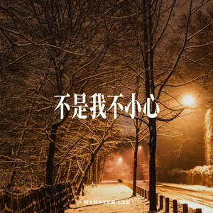 不是我不小心 Beyond My Control by HAMSTER LAB