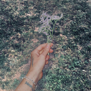 365 by Noémi Büchi