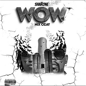 Wow (feat. Nix Ozay)