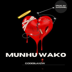 codeblaxzw - Munhu Wako (Mjolo)