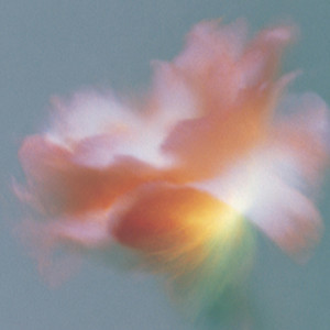 sakujitsu | Spotify