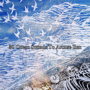 30 Ocean Sounds To Arouse Zen album