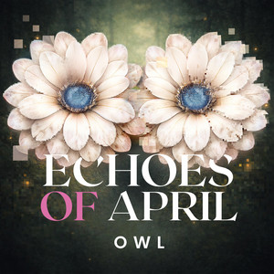 Owl by Echoes of April