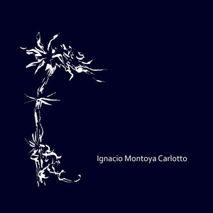 Después Que Te Perdí — Ignacio Montoya Carlotto