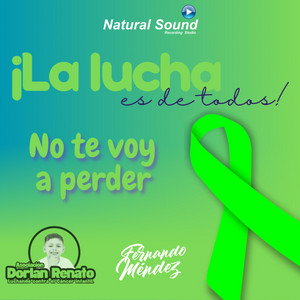 No Te Voy a Perder