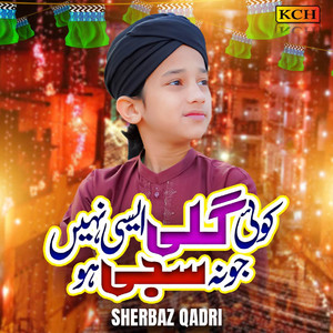 Sherbaz Qadri - Milad Rahy Ga