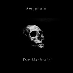 Der Nachtalb