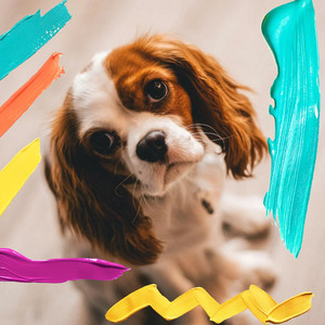 Music for Dog Walking - Sax Jazz album