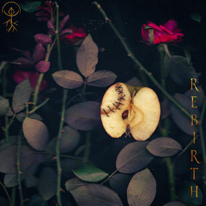 Rebirth by Arcus