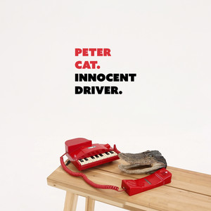Innocent Driver by Peter Cat