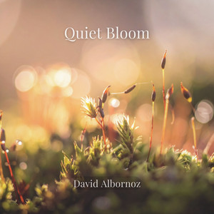 Quiet Bloom by David Albornoz