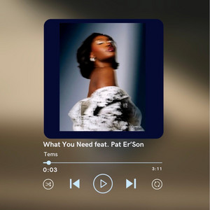 What You Need by Pat Er'son