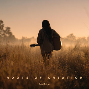 Roots of Creation by Rootsbay