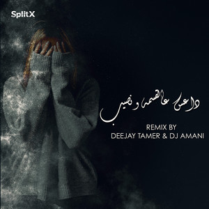 داعس عالقسمة و نصيب by DEEJAY TAMER, DJ AMANI