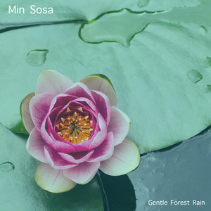 Gentle Forest Rain by Min Sosa